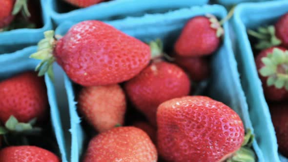 Organic strawberries at the local Farmer's Market.