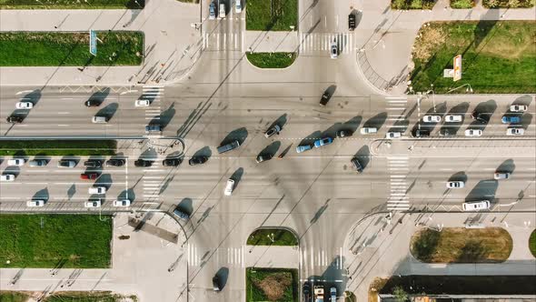 Various Cars Drive and Stop on Crossroads with Zebras