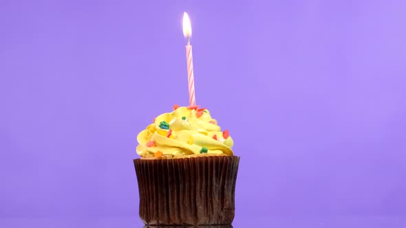 Tasty Birthday Cupcake with One Candle, on Purple Background.