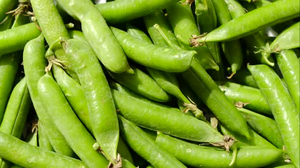 Green Pea Pods are Spinning