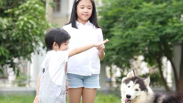 Happy Asian Children Playing With Siberian Husky Dog In The Garden