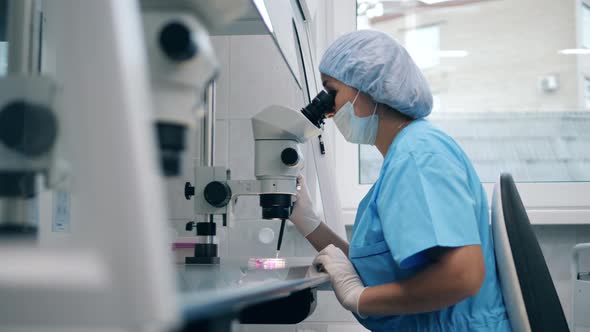 Female Laboratory Specialist Is Working in the Laboratory with a Microscope