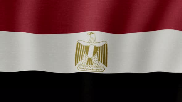 The National Flag of Egypt alt