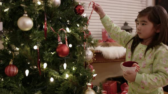 Young Asian Child Placing Candy Canes on Christmas Tree