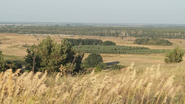 Countryside From Far Away. Landscape View of the Village. Rural Scene.