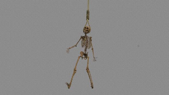 Skeleton Hanging in Gallows Rope