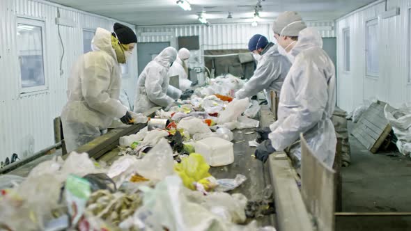 Workers Sorting Plastic Waste at Conveyor Belt