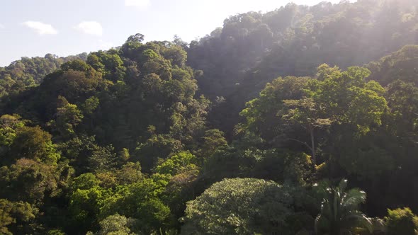 Lush forest and mountains of Jaco, Costa Rica. Wide angle aerial push in shot