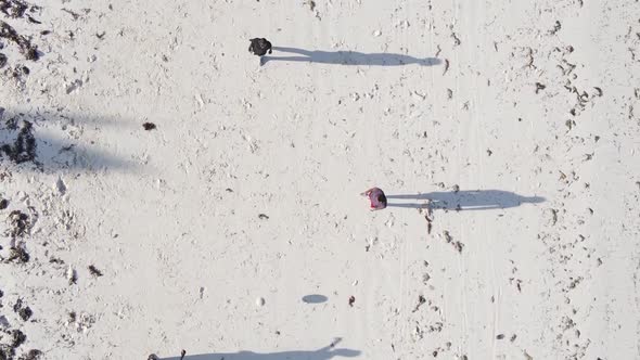 Vertical Video People Play Football on the Beach in Zanzibar Tanzania Aerial View