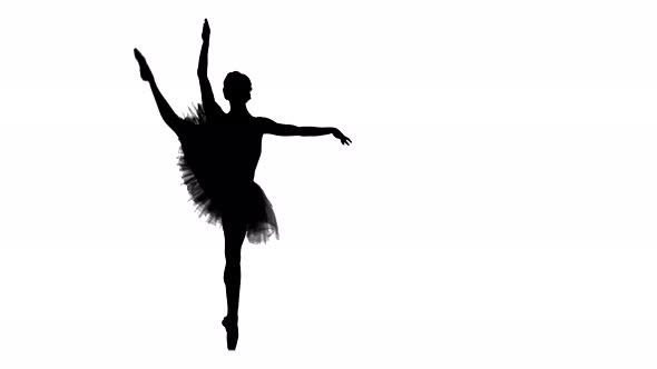 Young Ballerina Dancer in Tutu Showing Her Techniques, Silhouette