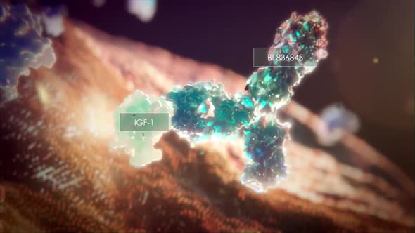 The functioning of antibodies in the immune system