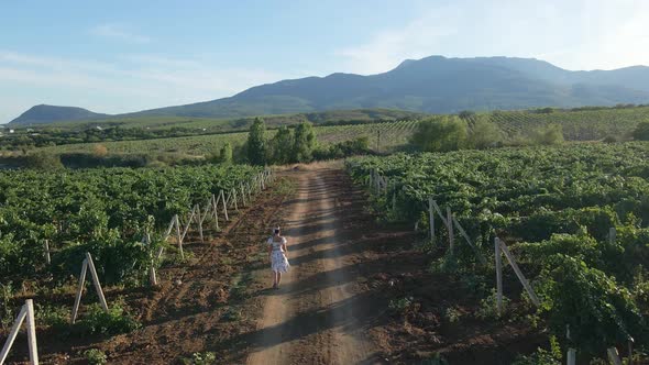 Brunette Woman in a Dress Walks Through the Grape Field