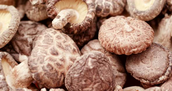 Chinese medicine dry mushroom