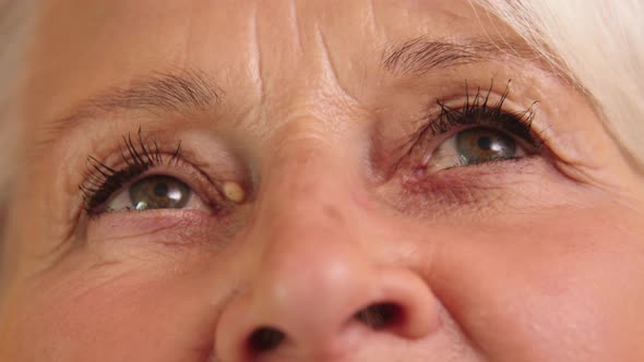 Macro Shot of a Green Eye with Wrinkles of an Elderly Woman