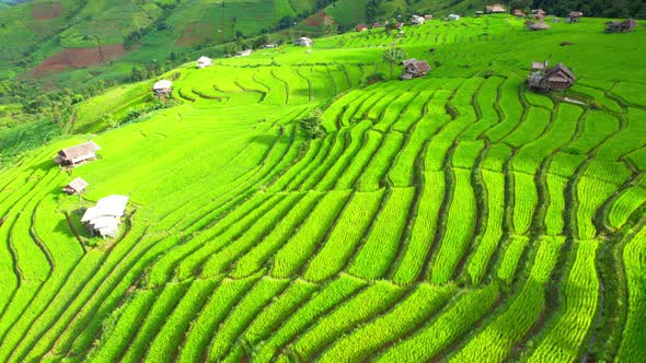 Drone flying over fields in Pa pong piang rice terraces