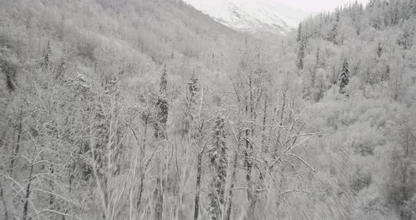 Aerial helicopter flyover of Alaskan bay, through clouds, past mountains, icy water, drone footage