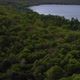 Aerial Vertical Shot Rising Above Jungle and Lagoon in Tropical Landscape - VideoHive Item for Sale