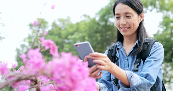 Woman taking photo with cellphone on the flowers 