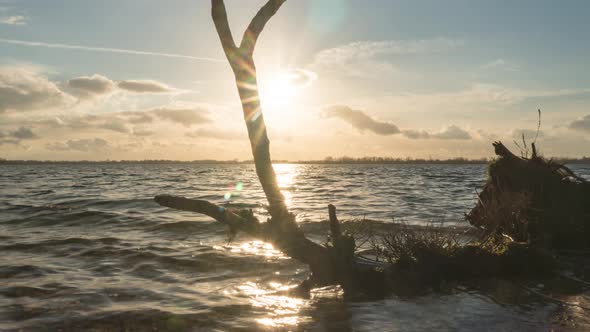 Hyper-lapse of waves washing over old tree branch washed ashore on beach