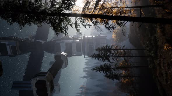 UFO Hovering Over a Forest alt