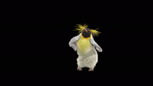 Penguin Dancing 4K