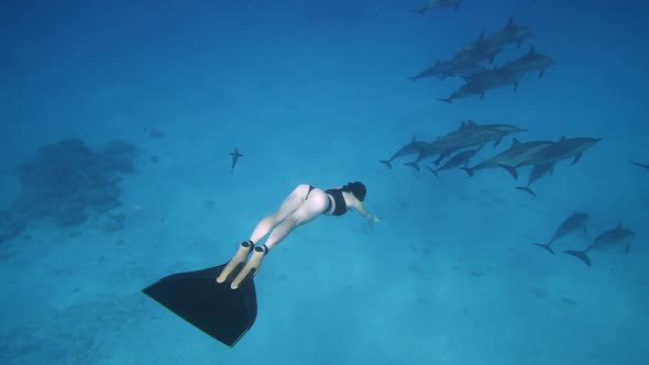 Beautiful Young Woman Swimming Underwater with Dolphins in Pristine Blue Ocean Water Amazing