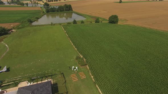 Drone fly ove the leak and fields. High quality 