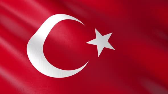 Flag of The Turkey