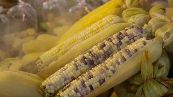 Close-up Footage of Steamed Corn Displaying At Street Food Market