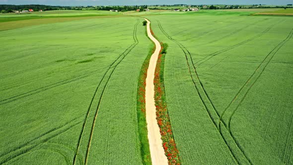 Aerial view of rural green field and country road