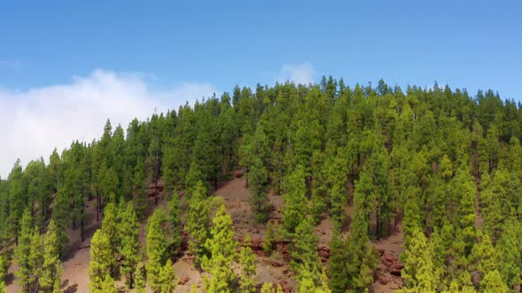 Aerial view of El Teide volcano in Tenerife