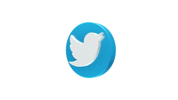 Social Media 3D Twitter Icon