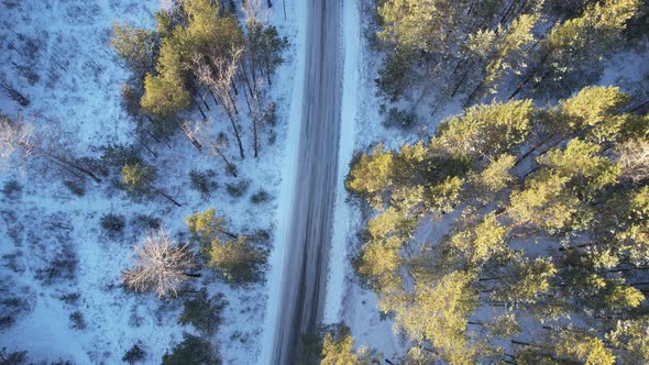 Along The Empty Winter Forest Road