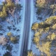 Along The Empty Winter Forest Road - VideoHive Item for Sale