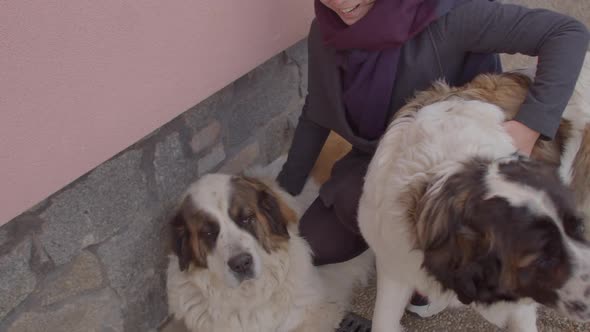 Smiling Woman Has Contact with Dogs During Cognitive Behavior Therapy Session