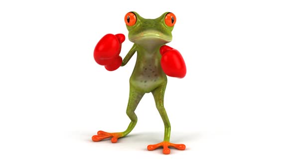 Frog boxing