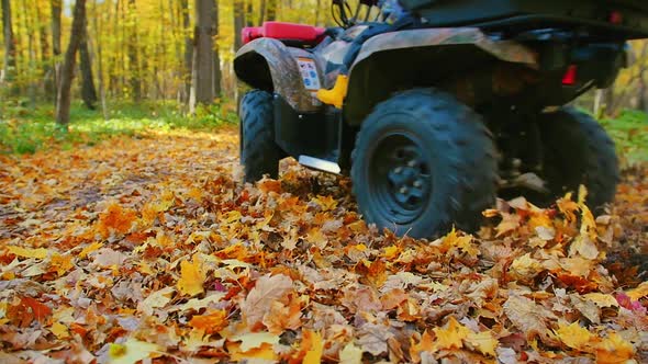 Outdoor Activity - Man with His Kid Riding ATVs in the Forest on Orange Leaves