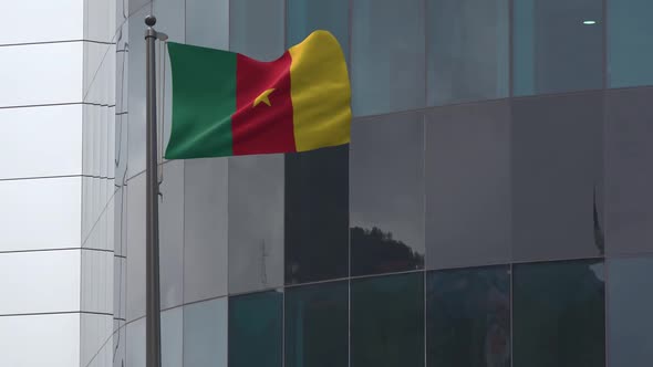 Cameroon Flag  Background 2K