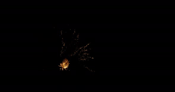 Fireworks Against Black Sky at Night 4k