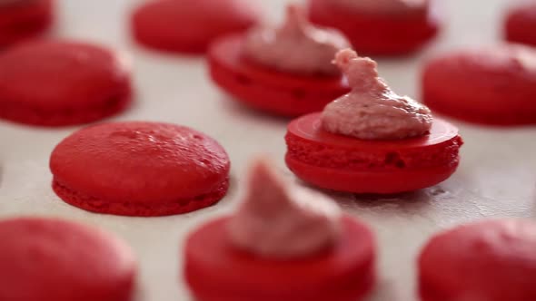 Closeup View of Many Rows of Red Opened Halves with Filling Macarons Macaroon on White Background