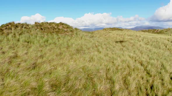 Flight Over the Grasslands at the Irish West Coast