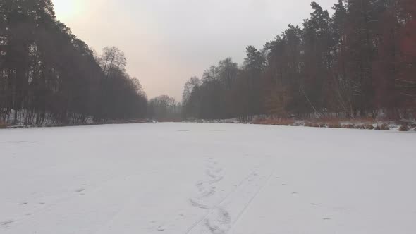 Frozen Lake In Winter Forest