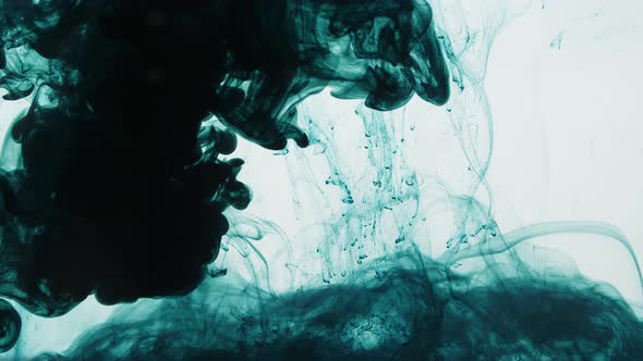 Dark Green Ink Drop Into Water On A White Background alt