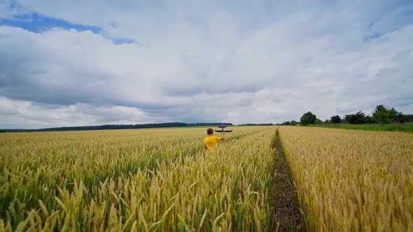 Child on yellow field. Little boy walking among agricultural plants and holding toy plane in his han