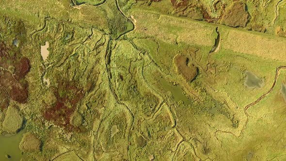 Abstract aerial view of wetlands in the Netherlands.