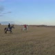 A Ride on Horseback Through the Field in the Evening. - VideoHive Item for Sale