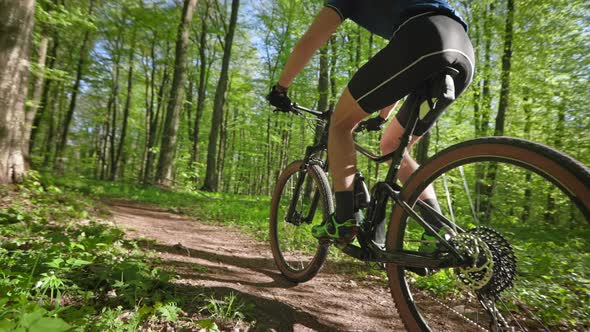 A Cyclist is Riding Along a Forest Path