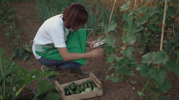 Woman checking smartphone while working in a vegetable garden