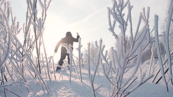 A Man Practicing Scandinavian Walking in a Winter Forest