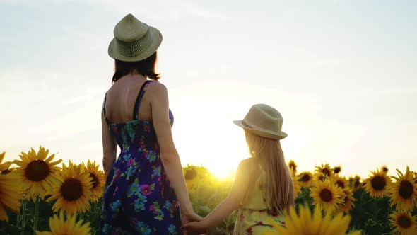 Mom and Little Daughter in a Field of Sunflower in the Summer at Sunset